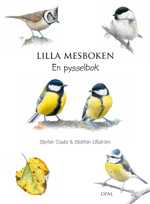 Lilla mesboken Pysselbok