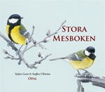 Stora mesboken